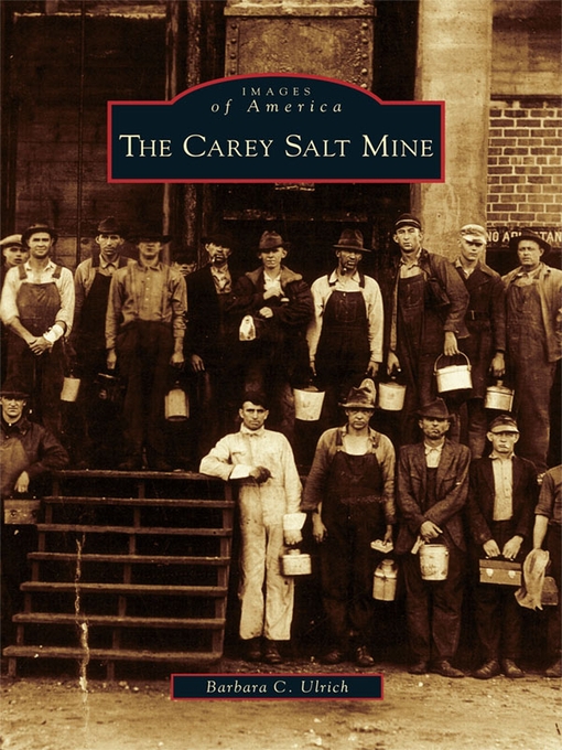 Title details for The Carey Salt Mine by Barbara C. Ulrich - Available
